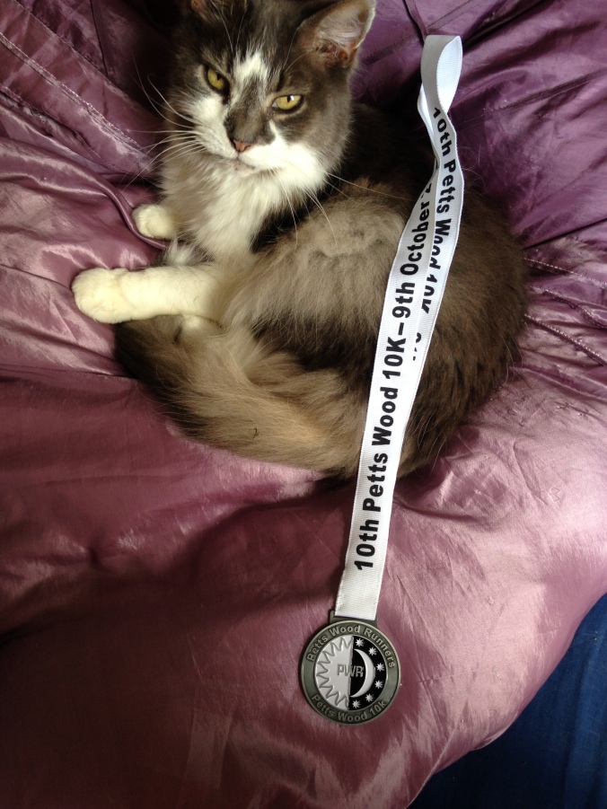 Petts Wood 10km medal cat
